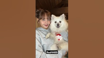 Blackpink Lisa dancing bts member jungkook reaction Just for wow 🥰✌️ #trending #foryou #fypシ゚