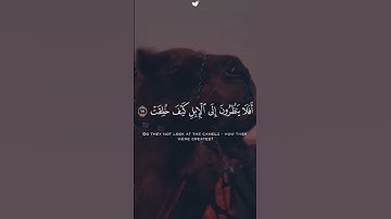 احترم القرآن الكريم 🩵