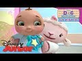 Doc McStuffins | Lammie's Fashion Show | Official Disney Channel Africa