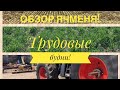 Осмотр ячменя.(трудовые будни)