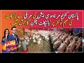 ‘Boycott Chicken’ trends on Twitter as prices hit record high