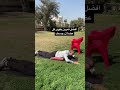 Superman Exercise افضل تمرين لتقوية الجسم كلة من المنزل 