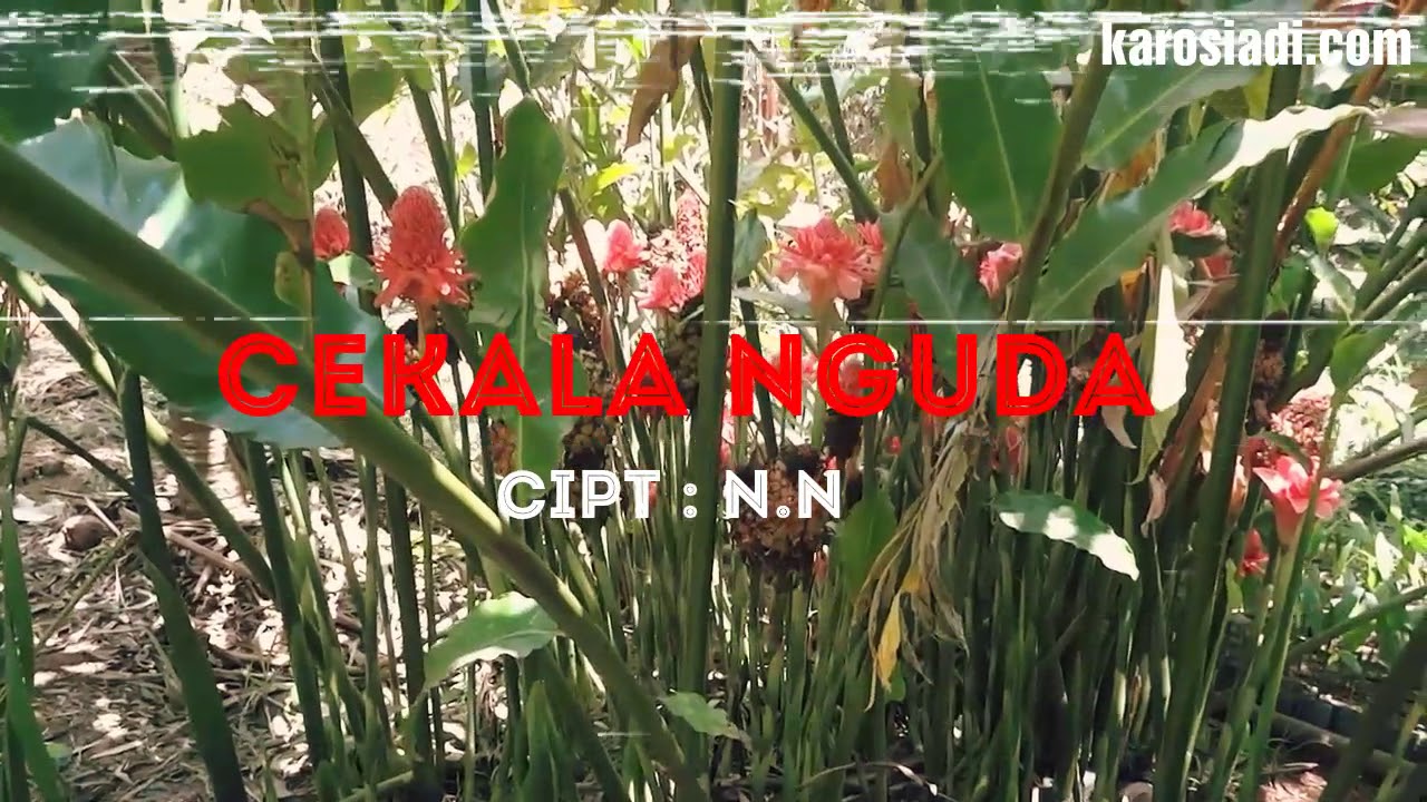 Cekala Nguda (1960) - YouTube