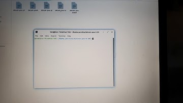 BitcoinPOS wallet on Zorin OS problem
