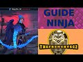 Guide ninja  raid shadow legends