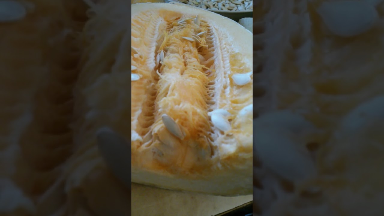 Третья часть кабачка сорта Грибовский 37 лежит в центре, семена и ...