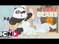 Вся правда о медведях | Поиск работы | Cartoon Network