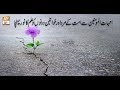 Watch Seerat Un Nabi (S.A.W.W) - 22nd July 2018 - ARY Qtv Online In HD