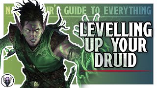 Beginner's Guide to D&D: Levelling a Druid with D&D Beyond #2
