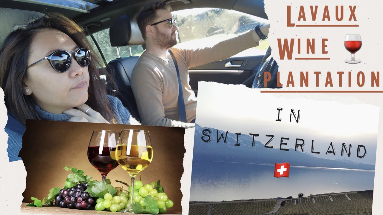 LAVAUX WINE PLANTATION IN SWITZERLAND (PERKEBUNAN WINE DI SWITZERLAND)