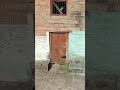 पुरनी यादें