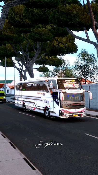 Tunggal jaya one piece pakai Basuri apa ini? ada yg tau ? #basuriv#bus #ets2 #bussid