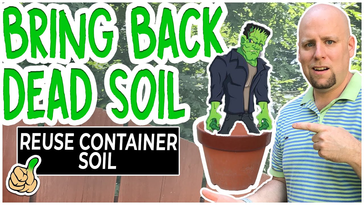 Reuse Soil From Containers | Bring It Back TO Life