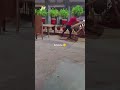 sahi kaha😊