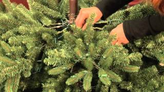 Shaping Your Pre-lit Tree by GEHolidayLighting 10,925 views 9 years ago 1 minute, 40 seconds