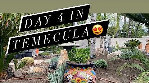 Day 4 In Temecula and a Sneak Peek at Phase 2!