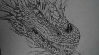 This is my second step by drawing of a dragon. it`s more detailled
than the first and i hope you like it. used 5b pencil for dark
outlines. so i...