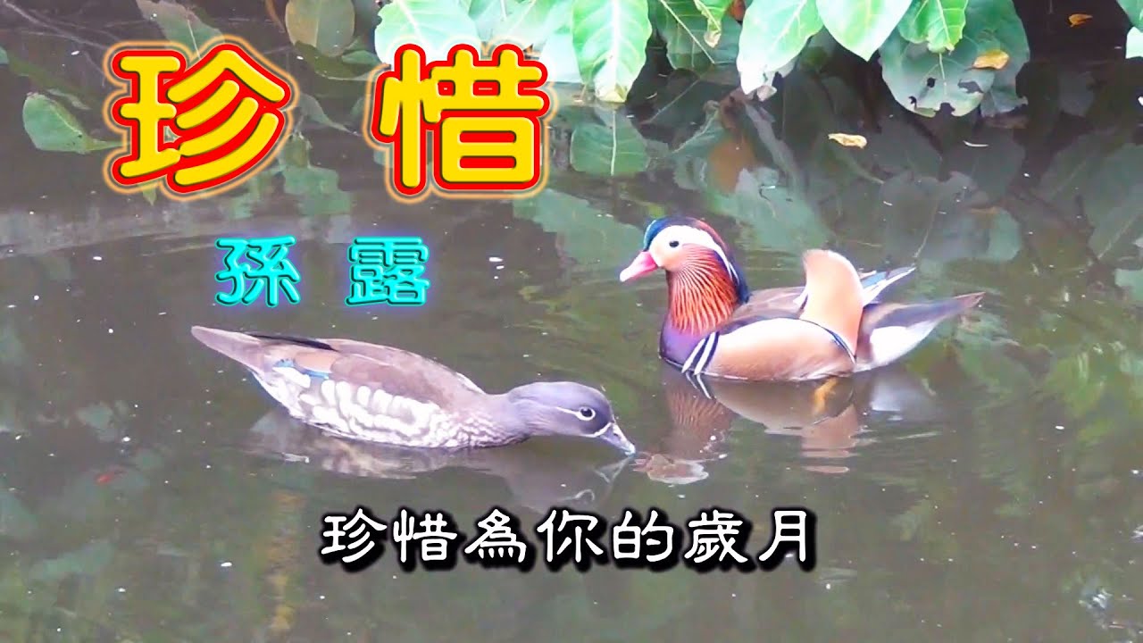 Ktv 東方之珠oriental Pearl Youtube Ktv 東方之珠oriental Pearl Youtube