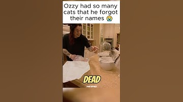 Ozzy Osbourne Forgot His Cat’s Name 😭