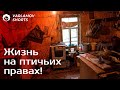 Большинство людей не доживёт до прекрасной России будущего | Варламов