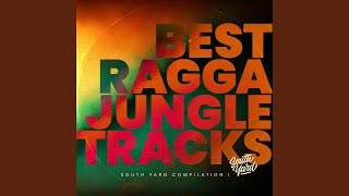 Move Ya Body feat. Steppa Style (Fak Scratch Jungle Remix)