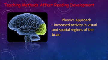 Phonics vs Whole Word: a Cognitive Neuroscience Perspective