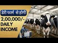 हाईटेक डेरीफार्म Business Idea #dairyfarm #farming #videos #business
