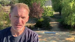 Installing a 50 Year RV Roof  The EPDM Comes Off  Exposing the Rot  Roof Part 4