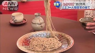 総額350万円！　人間国宝の器で豪華な盛りそば(14/11/22)