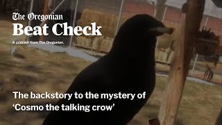 The backstory to the mystery of ‘Cosmo the talking crow’