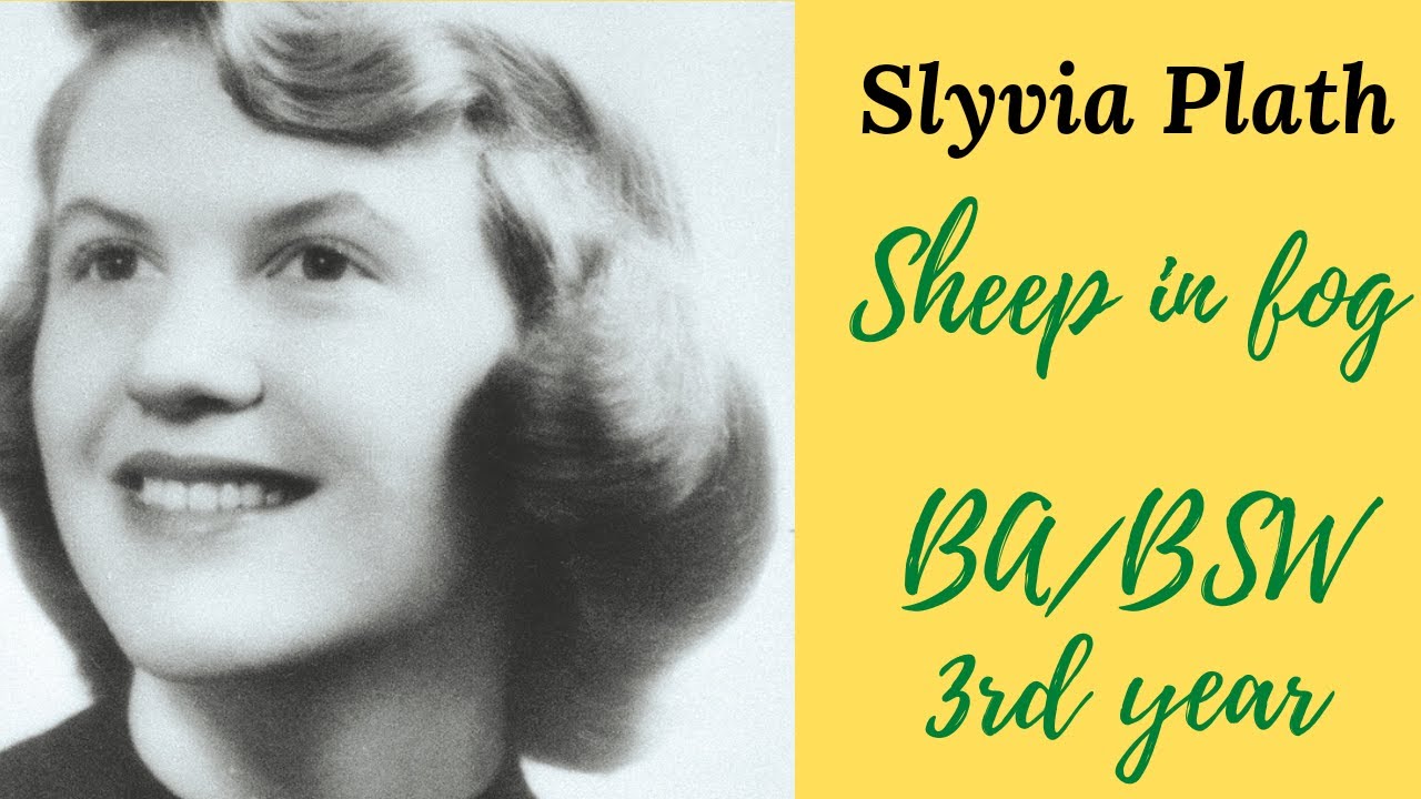 #Poem #Sylvia Plath #Sheep in fog | Line by line explanation of Sheep ...