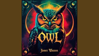 Owl (Original Mix)