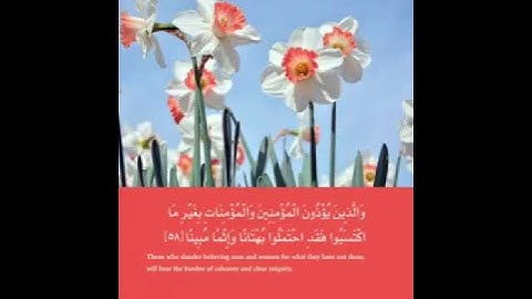 القاريء احمد العجمي || حالات واتساب قرآن || تلاوة عطرة