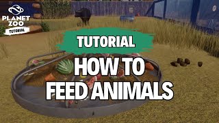This is How to Feed your Animals in Planet Zoo