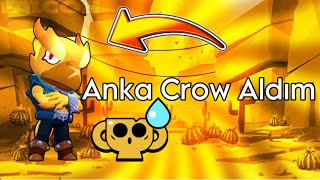 Anka Crow Aldım🔥