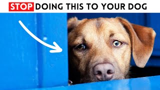 11 Things Dogs HATE and want you to stop doing now! by Wellness for Pets 325 views 5 months ago 9 minutes, 21 seconds