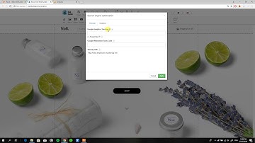 How To Add Google Analytics Tracking ID Into Bravo Net Web Builder