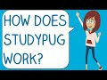 Study Pug Algebra 2 Video Quiz