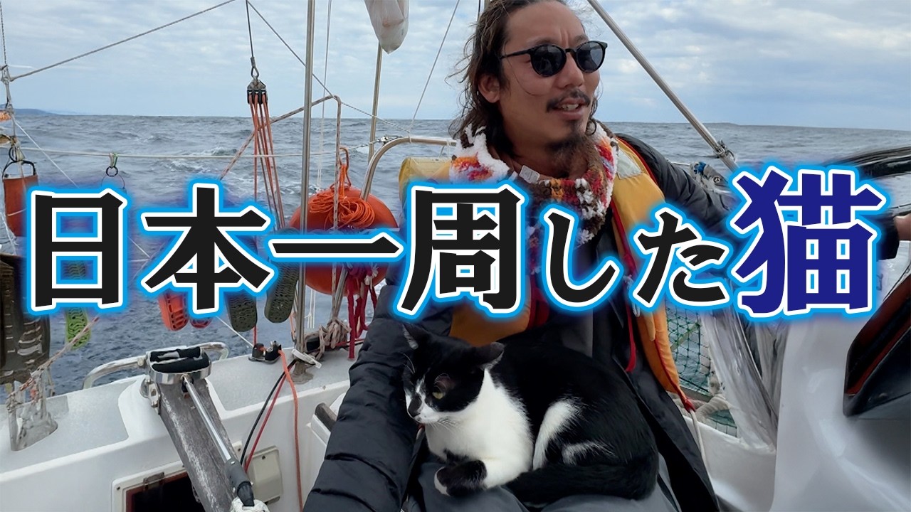 海で暮らしたニャンコの物語