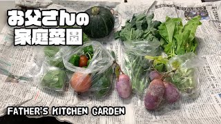 【ルンルンの裏庭】お父さんの家庭菜園：そろそろシーズンオフ