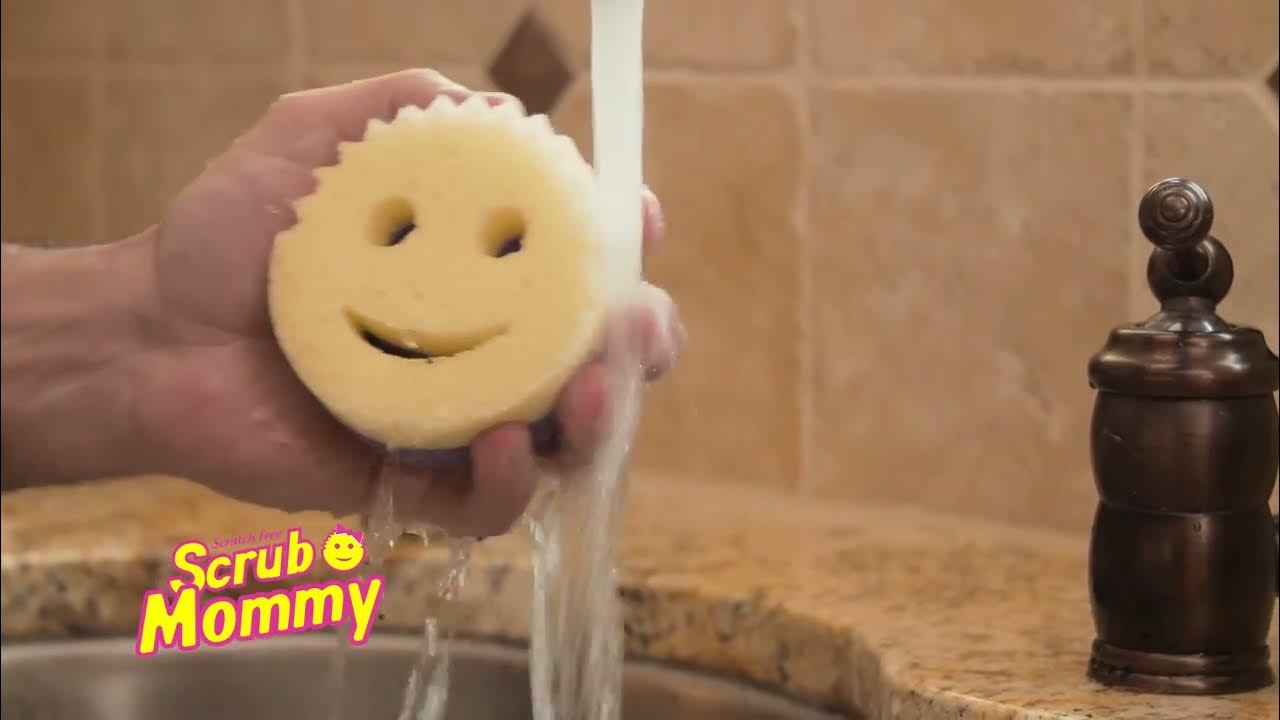 Scrub Daddy VS Scrub Mommy (What's the difference?) 