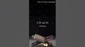 كلا بل تحبون العاجلة ( آيه ٢٠- سورة القيامة ) - بصوت القارئ/صلاح حسب الله -@alshaer_2023