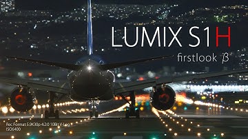 S1H Firstlook β  - DNA of H -