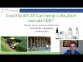 Could South African hemp cultivation exclude CBD?