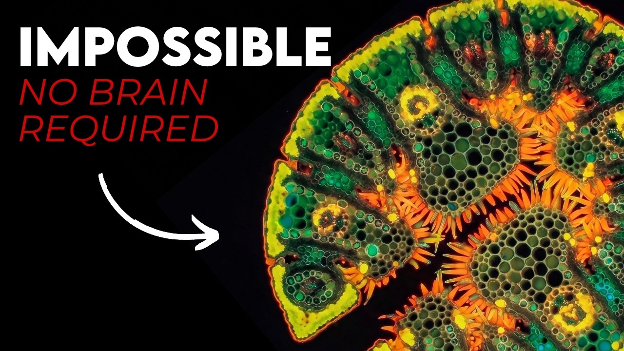 Your Cells Are Making Decisions Without You