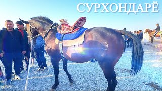 картинка: Сариосиё Пайшанба От Бозори