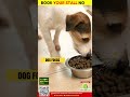 IPAAF Expo 2025: Highlight New Products– Animal Feed & Nutrition Supplements | Exhibit Now!
