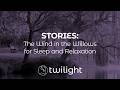 THE WIND IN THE WILLOWS | Chapter One | STORYBOOK SCENE | Sleep and Relaxation
