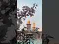 #shia #azadari #yaali #imamhussain #pakistan #lahore #karbala #12imam #aliunwaliullah #fyp #foryou