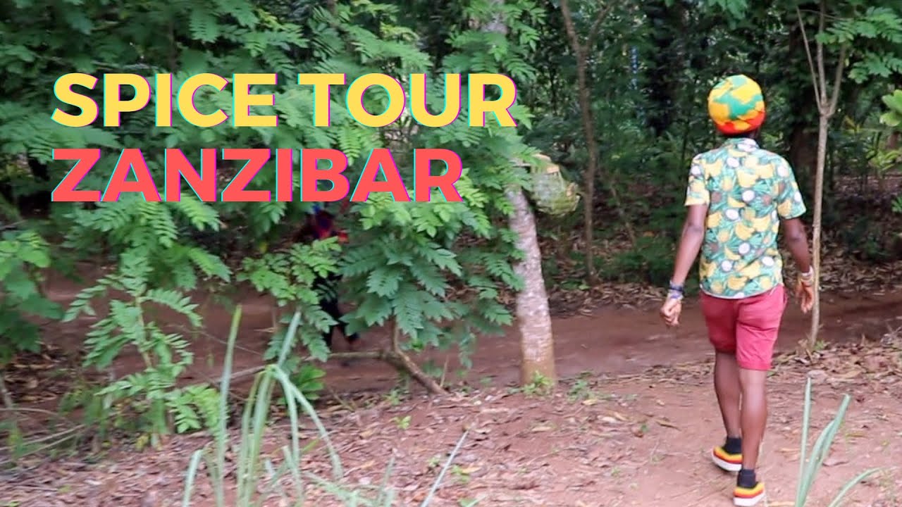 Spice Tour in Zanzibar, Tanzania - Travel Vlog